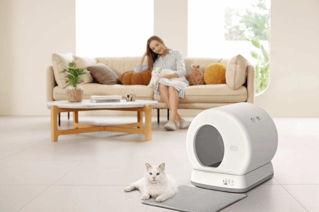 Is a Smart Litter Box Worth the Money? - PurrLiving
