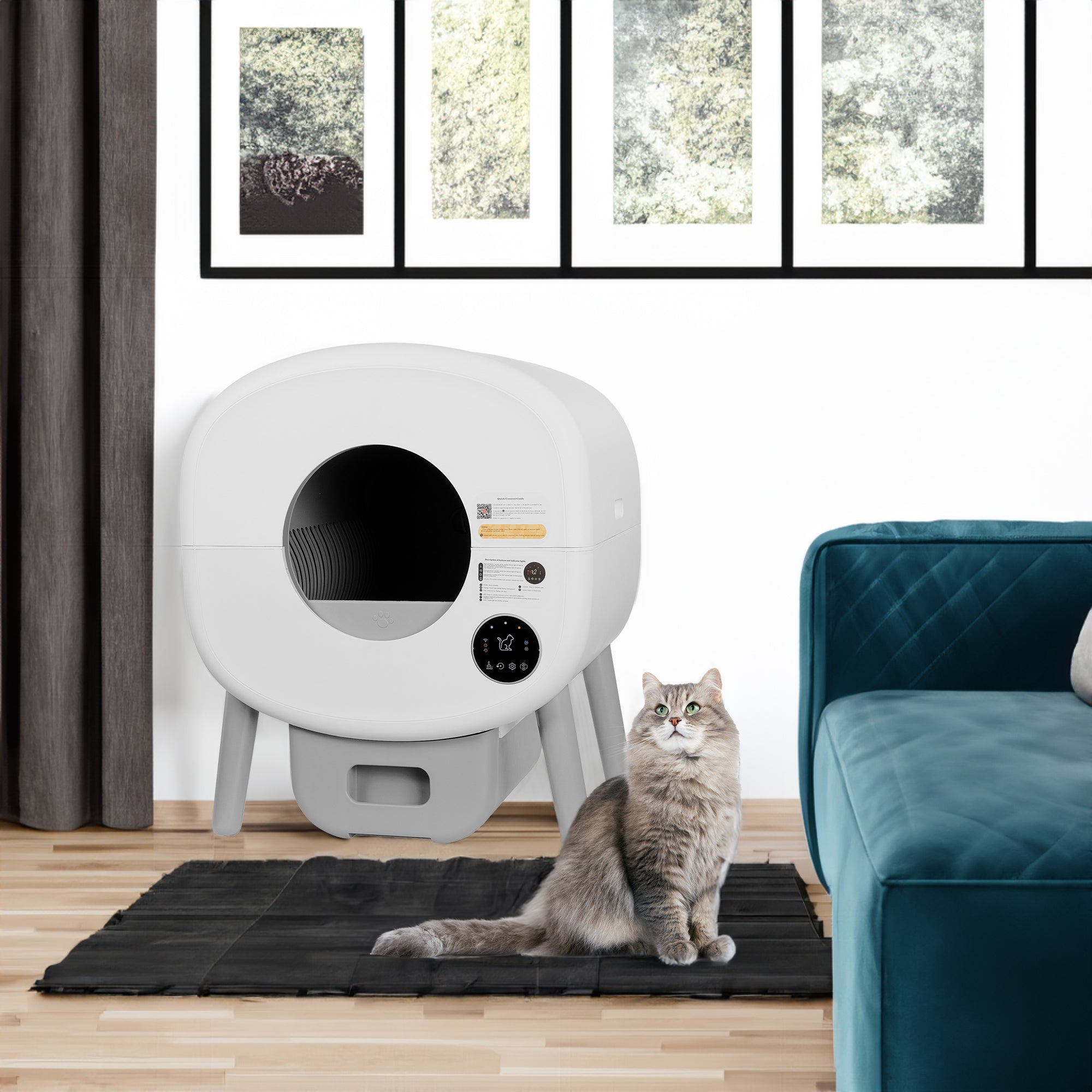 Automatic Litter Boxes