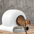 Cat entering an autoclean cat litter box