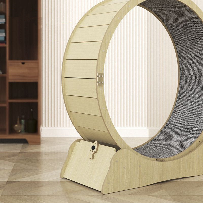 cat exercise wheel lifestyle view